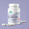 Synergistic GABA Pro by Provita (60 caps)
