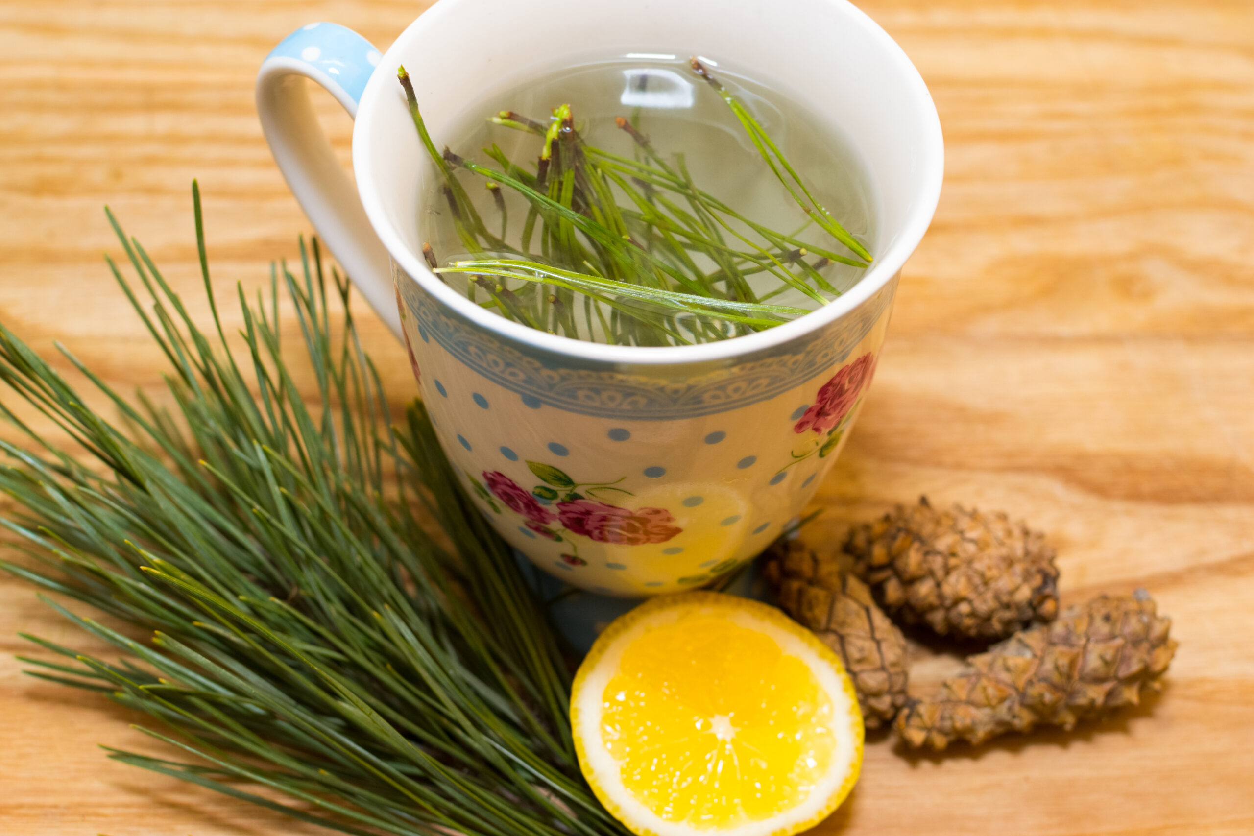 Pine Needle Tea Safety & Other Pine Remedies for COVID mRNA Vaccine Shedding