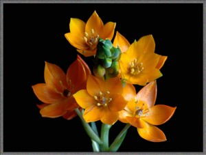 Photo28