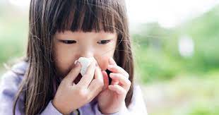 Homeopathic Remedies for Colds