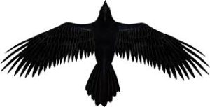 images (4)