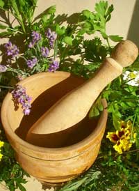 How are homeopathic medicines prepared?