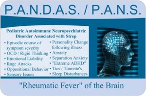 pandas_car_magnet_brain2_1